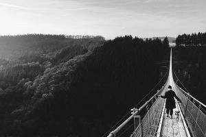 Höhenabenteuer im Hunsrück - Geierlaybrücke mit Hund