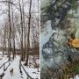 GASSI GEHEN IN LENNINGEN - MIT HUND AM SCHOPFLOCHER MOOR