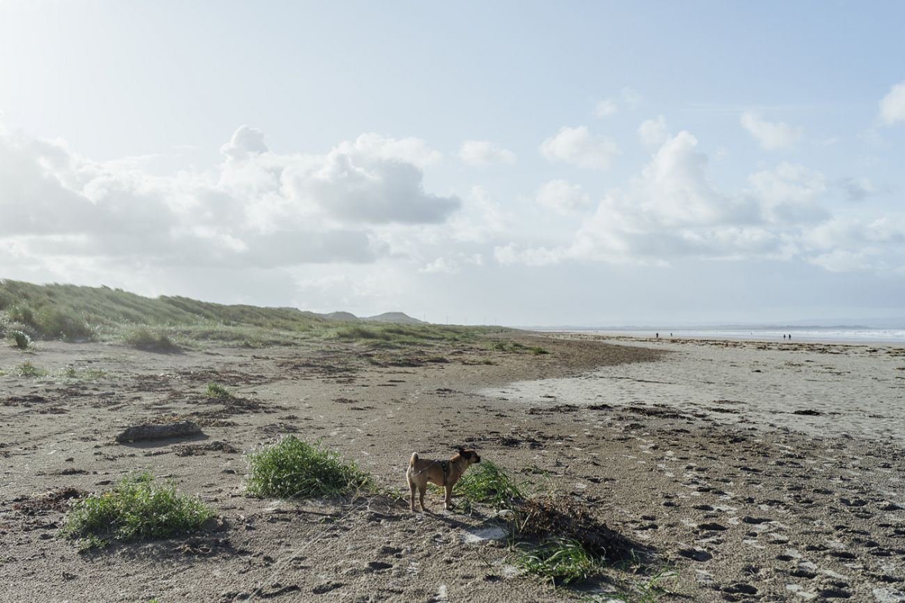 Mit Hund am Enniscrone Beach, Sligo Irland