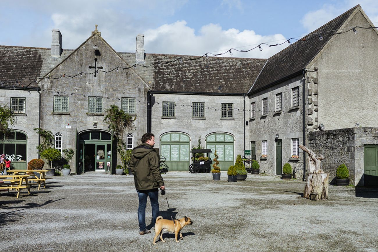 Birr Castle mit Hund, Offaly Irland