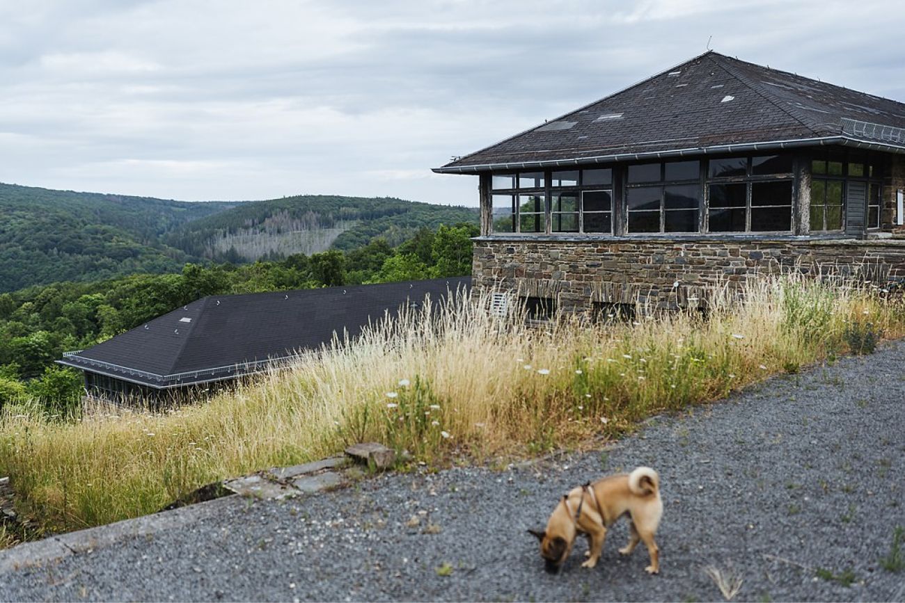 Nationalpark Eifel - Vogelsang IP mit Hund