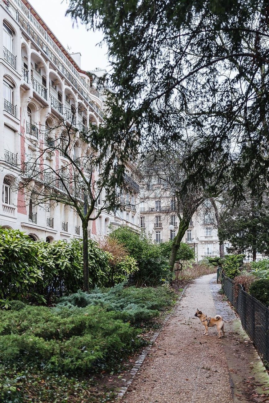 Paris mit Hund: Spaziergang am Eifelturm